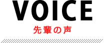 先輩の声